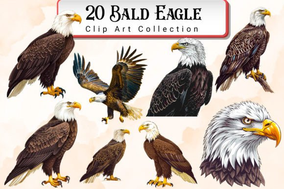 Download Bald Eagle Clipart Bundle - Eagle Collection