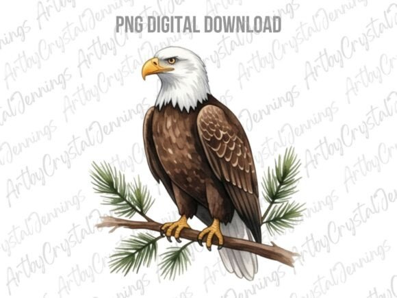Download American Bald Eagle Bird PNG - Eagle Collection